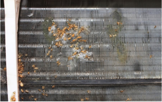 1560491589829179.png 空調(diào)3.png